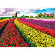 Puzzle Eurographics Campo de Tulipas, Holanda de 1000 Pzs