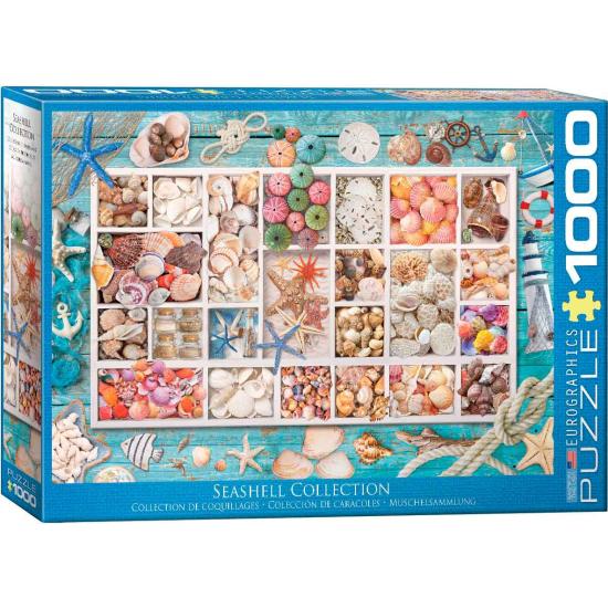 Coleção Puzzle Eurographics de Conchas de 1000 Peças