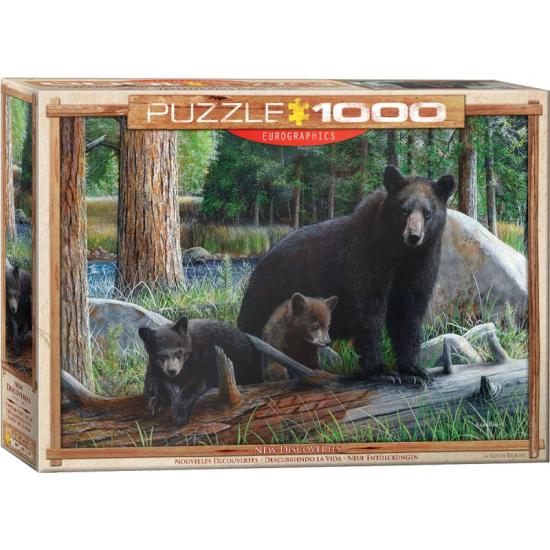 Puzzle Eurographics Descobrindo a Vida 1000 Peças