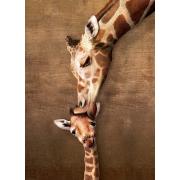 Puzzle Eurographics O Beijo da Girafa Mama 1000 peças