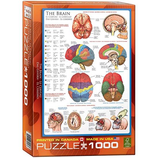 Puzzle Eurographics O Cérebro de 1000 Peças