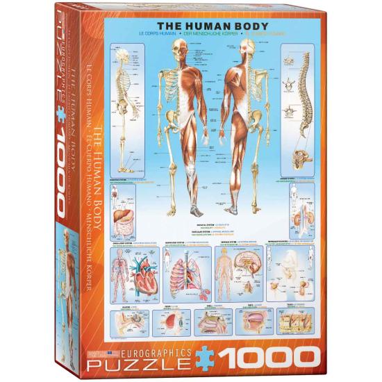 Puzzle Eurographics O Corpo Humano 1000 Peças