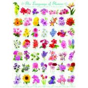 Puzzle Eurographics A Linguagem das Flores 1000 Peças