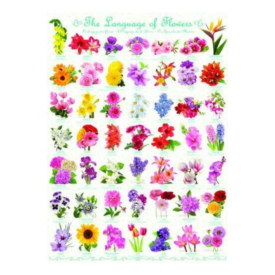 Puzzle Eurographics A Linguagem das Flores 1000 Peças
