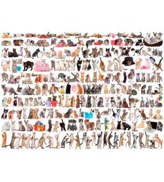 Puzzle Eurographics O Mundo dos Gatos 1000 Peças