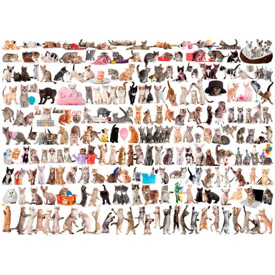 Puzzle Eurographics O Mundo dos Gatos 1000 Peças Puzzle Eurographics O Mundo dos Gatos 1000 Peças