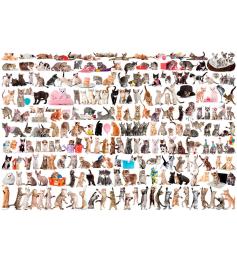 Puzzle Eurographics O Mundo dos Gatos 2000 Peças