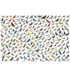 Puzzle Eurographics O Mundo dos Pássaros 2000 Peças