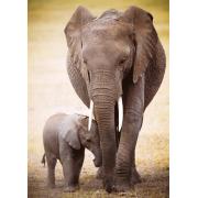 Puzzle Eurographics elefante e bebê 1000 peças