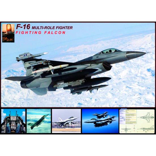 Puzzle Eurographics Falcon F-16 1000 peças