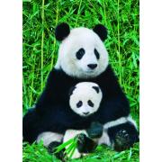 Puzzle Eurographics Família de Ursos Panda 1000 Peças