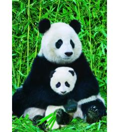 Puzzle Eurographics Família de Ursos Panda 1000 Peças