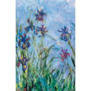 Puzzle Eurographics Iris Flowers of 1000 Piez