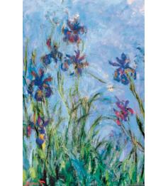 Puzzle Eurographics Iris Flowers of 1000 Piez