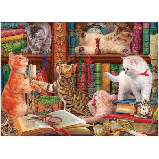 Puzzle Eurographics Gatinhos Da Biblioteca 1000 Peças