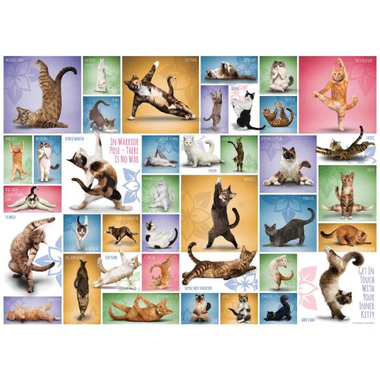 Puzzle de 1000 peças Eurographics Yoga Cats
