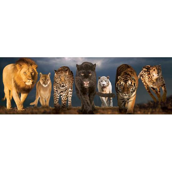 Puzzle Eurographics Big Cats 1000 peças