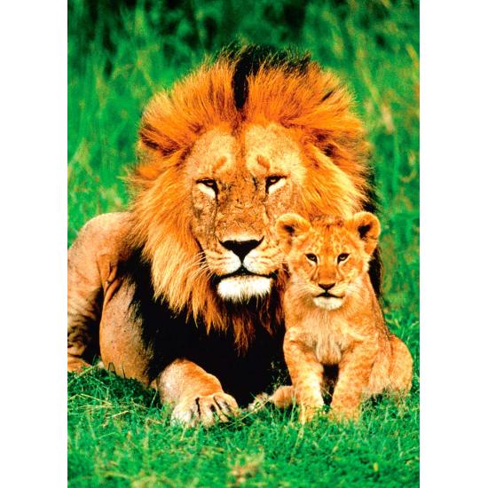 Puzzle Eurographics Lion e seu filhote de 1000 peças
