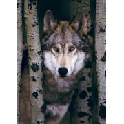 Puzzle de 1000 peças Eurographics Grey Wolf