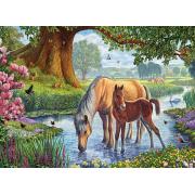 Puzzle de 1000 peças Eurographics The Fell Ponies