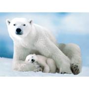 Puzzle Eurographics Urso Polar e Bebê 1000 Peças