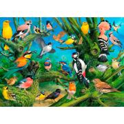 Puzzle Eurographics Garden Birds 1000 peças