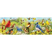 Puzzle Eurographics Panorama Garden Birds 1000 peças