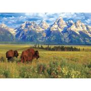Puzzle Eurographics Grand Teton National Park 1000 Pc