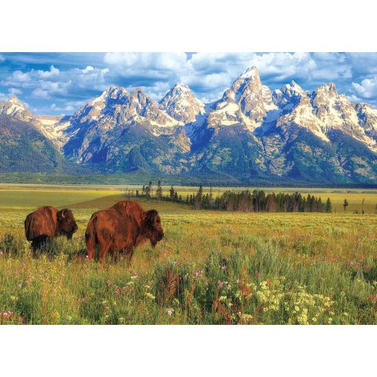 Puzzle Eurographics Grand Teton National Park 1000 Pc