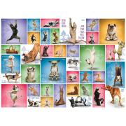 Puzzle Eurographics Yoga Dogs 1000 peças