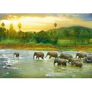 Puzzle Eurographics Tropical Jungle 1000 peças