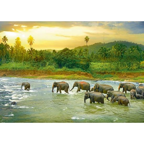 Puzzle Eurographics Tropical Jungle 1000 peças