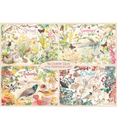 Puzzle Falcon The Four Seasons Journal 1000 peças