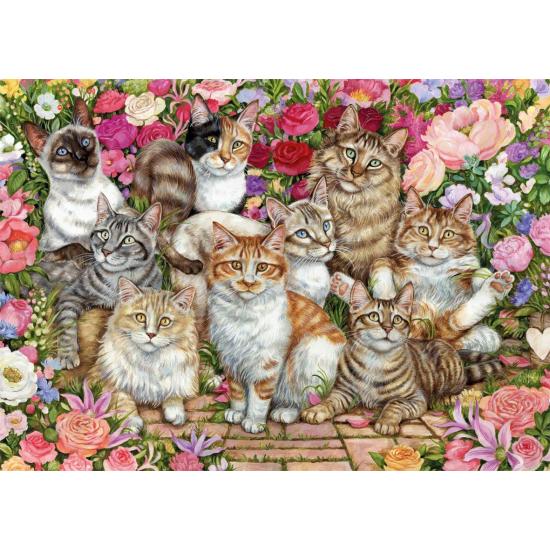 Puzzle Falcon Gatos em Flores 1000 Peças