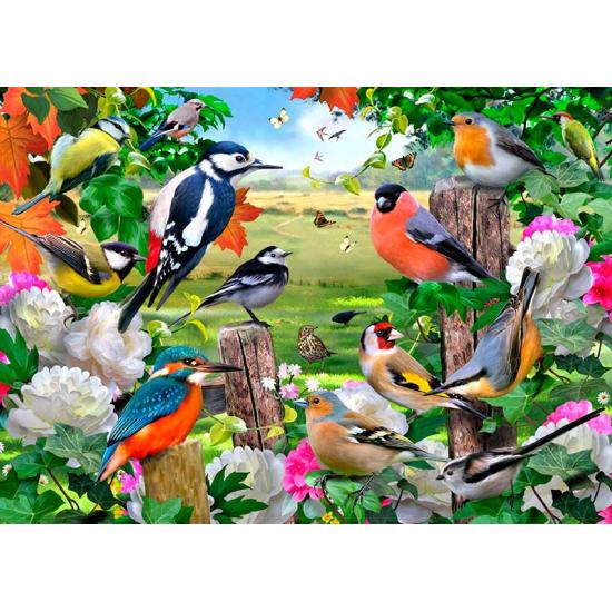 Puzzle Falcon Birds of All Seasons 1000 peças Puzzle Falcon Birds of All Seasons 1000 peças