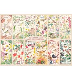 Puzzle Falcon Um Ano no Campo de 1000 Peças