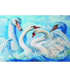 Cisnes de Puzzle Gold de 1000 peças