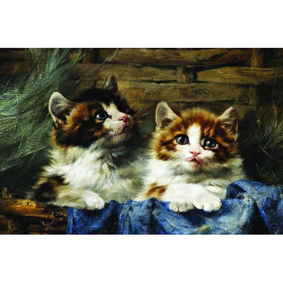 Puzzle Gold casal de gatinhos 500 peças