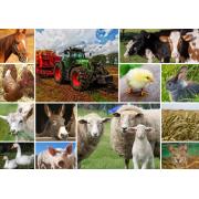 Puzzle Grafika Colagem Animais de Fazenda 1500 Peças