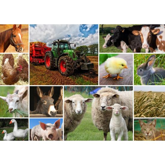 Puzzle Grafika Colagem Animais de Fazenda 1500 Peças