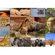 Puzzle de colagem Grafika Wildlife 1500 peças