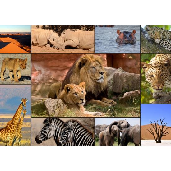 Puzzle de colagem Grafika Wildlife 1500 peças