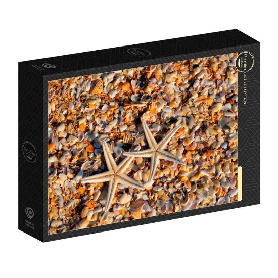 Puzzle Grafika Conchas e Estrelas do Mar de 1000 Peças Puzzle Grafika Conchas e Estrelas do Mar de 1000 Peças
