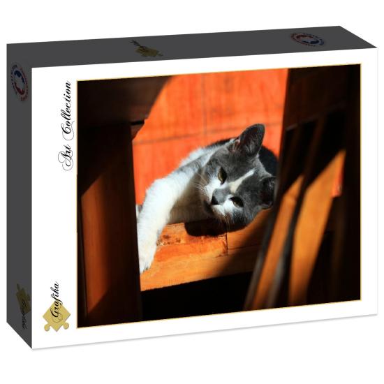 Puzzle Grafika Gatinho de 2000 Peças