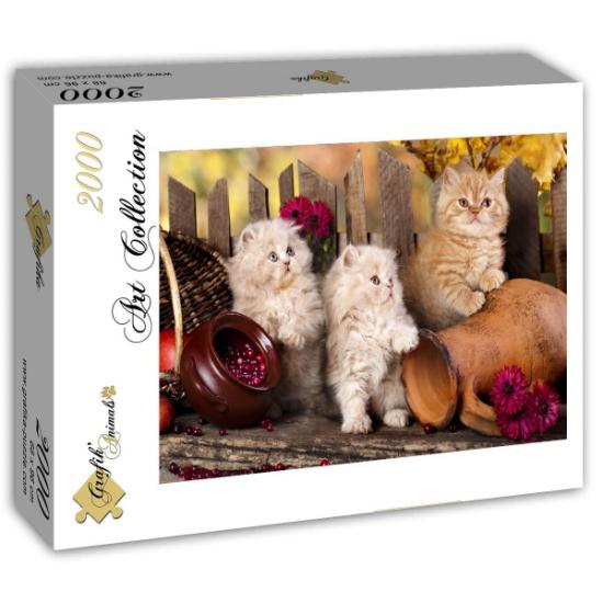 Puzzle Grafika Persa Cats 2000 Peças