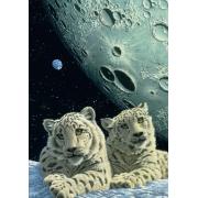 Puzzle Grafika Den of the Snow Leopard 1000 peças