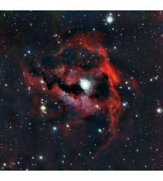 Puzzle Grafika Nebulosa Gaivota 1000 Peças