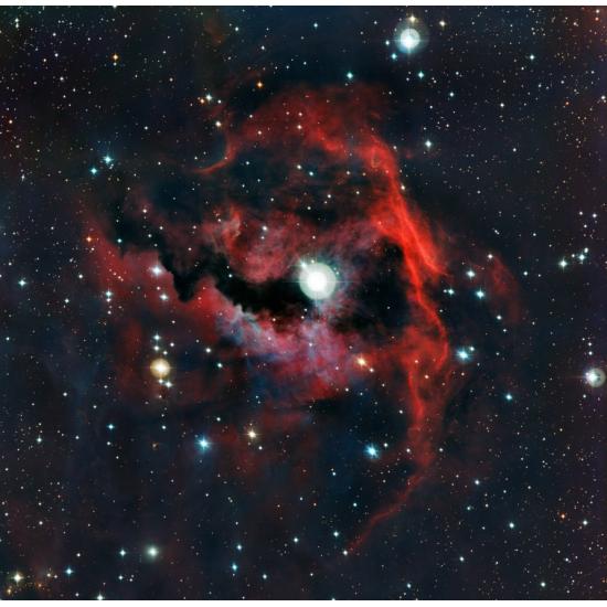 Puzzle Grafika Nebulosa Gaivota 1000 Peças