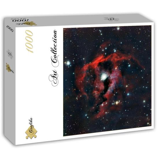 Puzzle Grafika Nebulosa Gaivota 1000 Peças