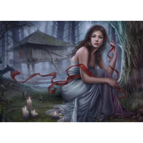 Puzzle Grafika Invisible Night 1000 Peças